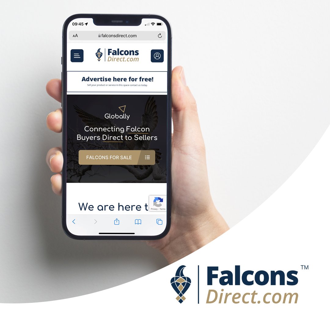 FalconsDirect_ tweet picture
