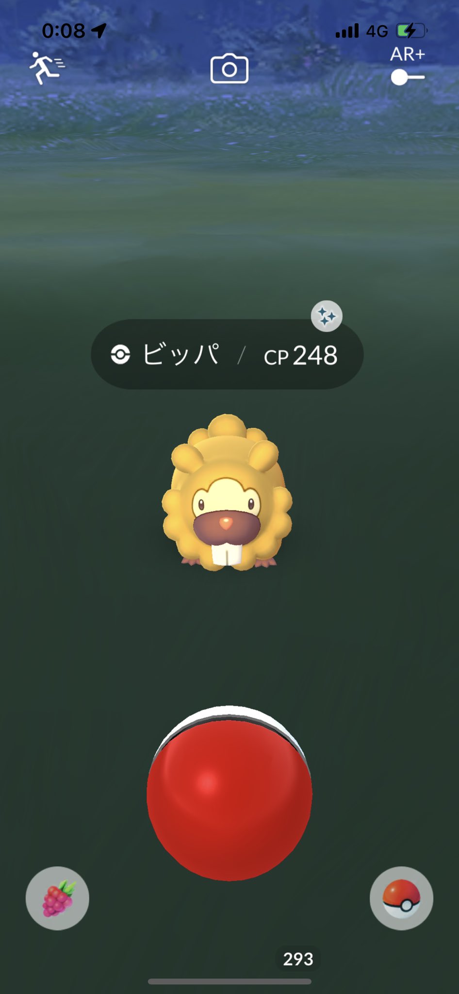 かめさん レジェンドアルセウスでいたずらビッパのイベントをしたあとに ポケモンgoでビッパ色違いget ビッパ イベントの時1体も出なかったので ビッパ色違いは初です ポケモンgo 色違いポケモン T Co Lojgv0rrol Twitter