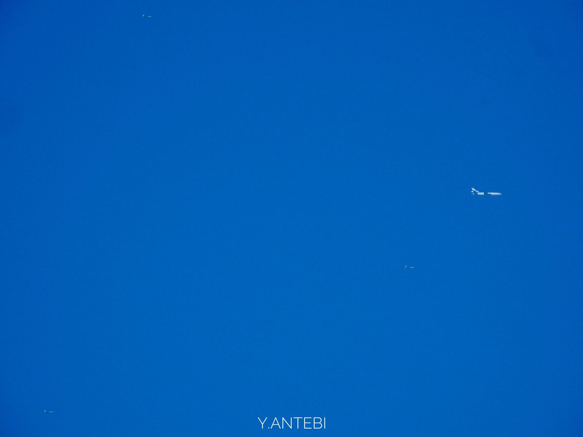 ace_pio's tweet photo. #GOLD62 dragging another three #F22 #Raptor from Rota to Al Dhafra
A bit difficult to see as they were really far from each other
#KC10A #tanker https://t.co/p1kKdd7Fw1