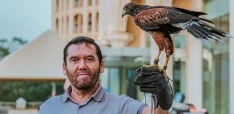 Афиша ПроАртИнфо tweet media