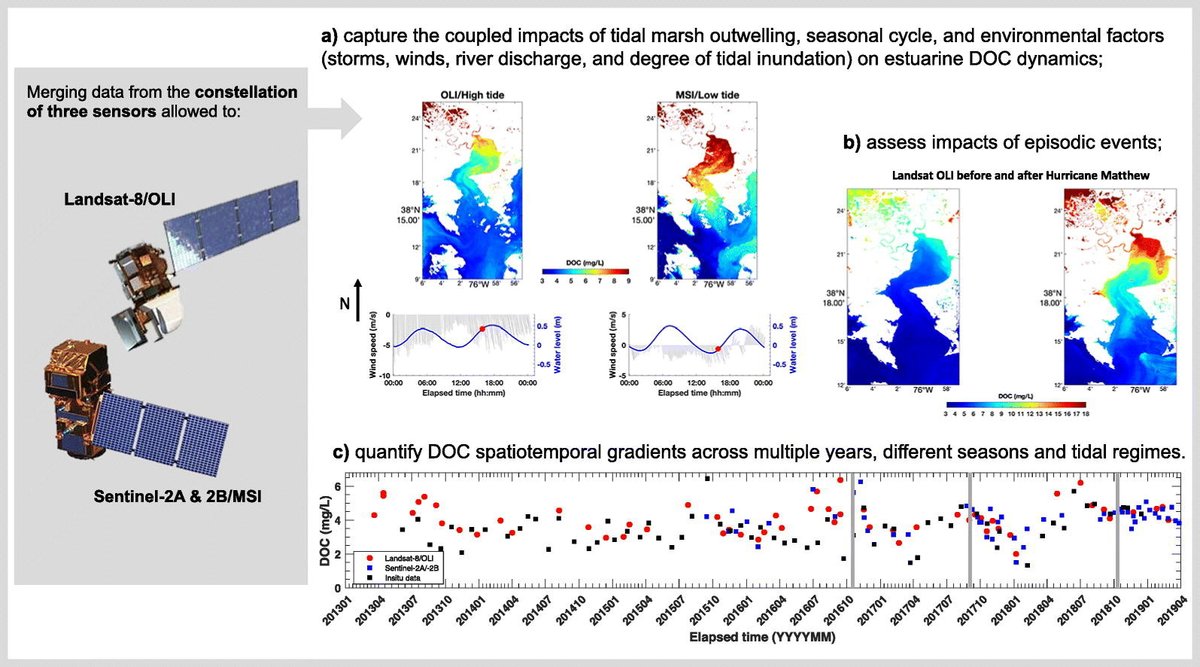 LadiesOfLandsat's tweet photo. Cao & @mtzortziou (2021) use #Landsat8 #OLI & #Sentinel2 data to examine dissolved organic carbon in a tidally influenced marsh–estuarine system in the Blackwater National Wildlife Refuge along the shore of Chesapeake Bay, USA. #LoLManuscriptMonday https://t.co/WnxlP1mQbK https://t.co/QUY6wb7fqZ