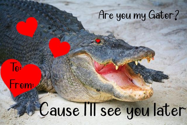Gator Esports 🏳️🌈🇺🇦 on Twitter: Gator Esports 🏳️🌈🇺🇦 on Twitter: