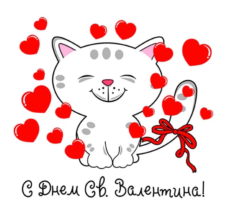 ДарьяВолодина tweet media