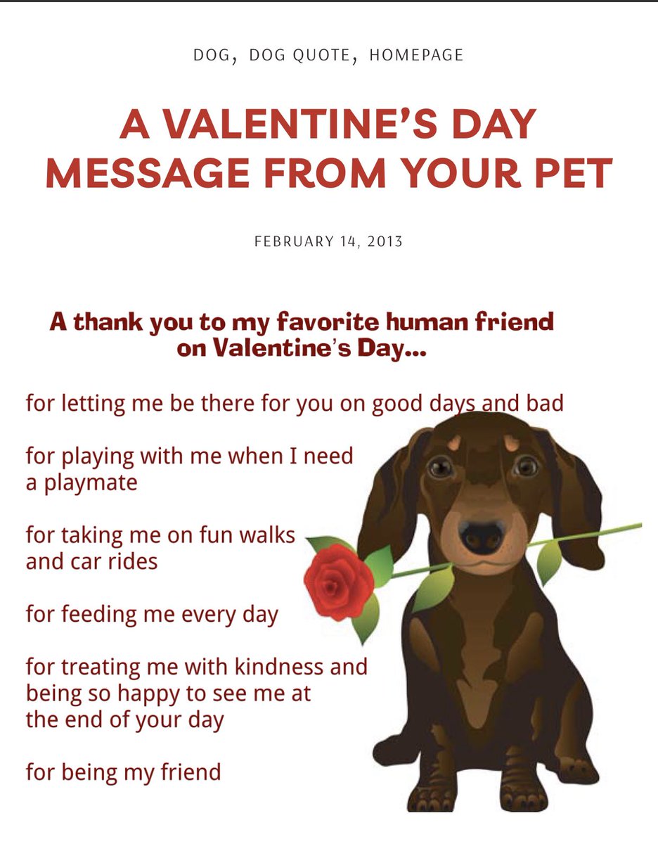 Moo’s Angels Pet Care tweet media