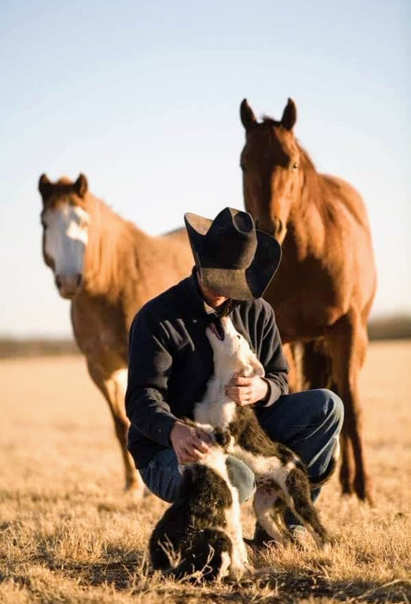 MUY BUEN DÍA AMIGAS Y AMIGOS TENGAN TODOS EXCELENTE INICIO DE SEMANA QUE ESPERO LES SEA MUY PRODUCTIVA Y LLENA DE BENDICIONES.

FELIZ DÍA DEL AMOR Y LA AMISTAD UN FUERTE ABRAZO PARA TODAS Y TODOS.