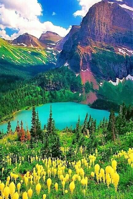 Happy day 💚💙
#NaturePhotography