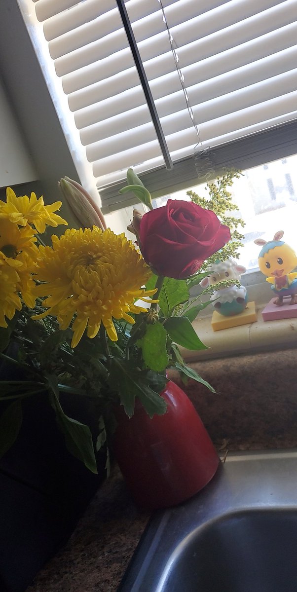 1SoulWithNoName's tweet photo. Happy Valentines Day to everyone!  🥰😍💝💖🤩🥰 I'm so lucky to have my Panda-Dean; he's my everything!!! 🥰🤩😍 I love you so much @Wizardlyhippo !!!💝💝💝💝💝💝💝💝💝💖 https://t.co/FUWyHWQeUh