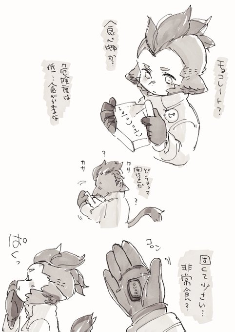チョコとお猿の人 