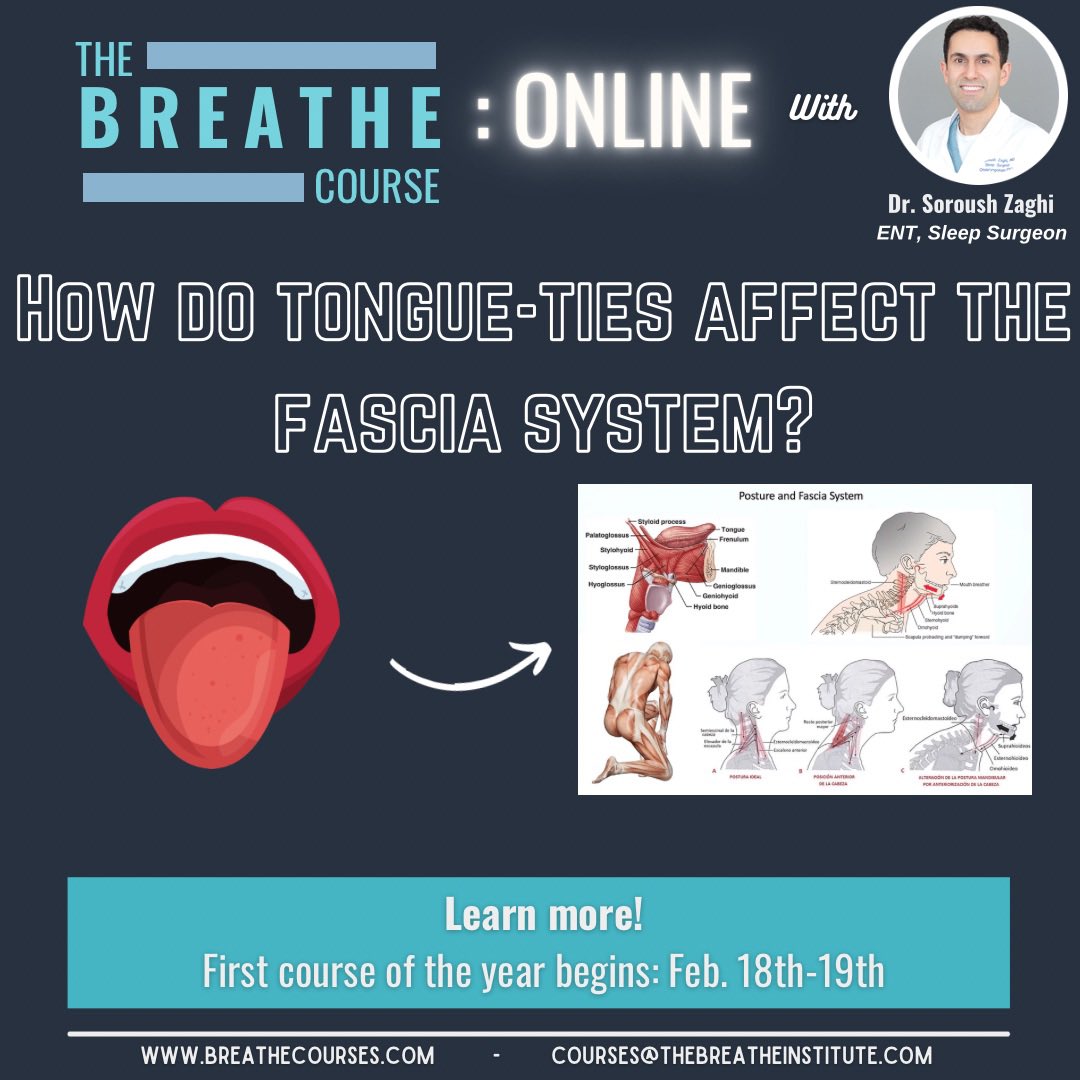 register at breathecourses.com 

#Courses #BreatheCourses #Sleep #Sleepdisorderedbreathing #FunctionalFrenuloplasty #OrofacialMyofunctionalTherapy #Letstalktongueties #Tonguetie #LipTie #Research #ZaghiMD #TeamBreathe #TBI #TheBreatheInstitute #AirwayHealth