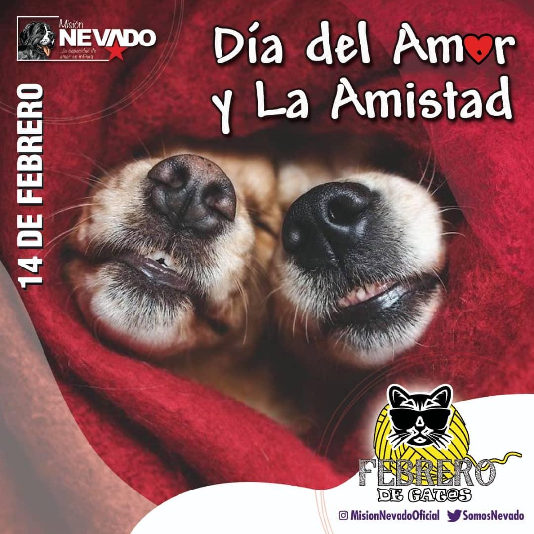SomosNevado's tweet photo. #MisiónNevado les desea un feliz día del Amor y la Amistad.
El Amor, uno de los valores que siempre está en nuestros corazones y nos guía como un rayo de luz para estar cerca a nuestros seres Amados.
#FelízDíaDelAmorYLaAmistad
#SomosPuebloDeAmor https://t.co/8wmwXXN2Gp