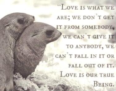 JULIE SILVER tweet media