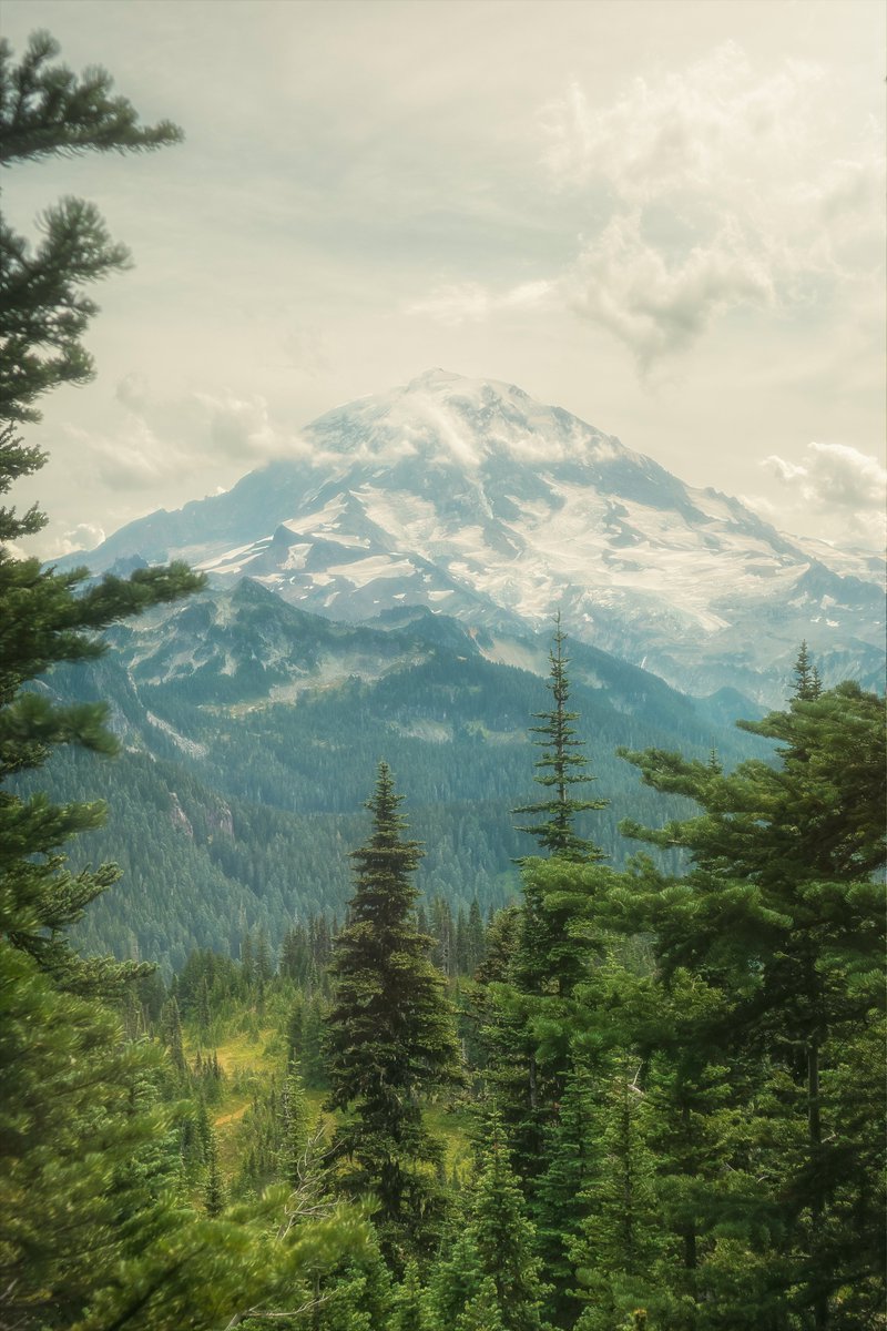 Thank you for watching and listening, please share if my work resonates with you😌

Thank you to the leaders of this community, especially the NFT photography space. Some of the most genuine &amp; humble humans I've encountered, always willing to lend a hand or give advice.