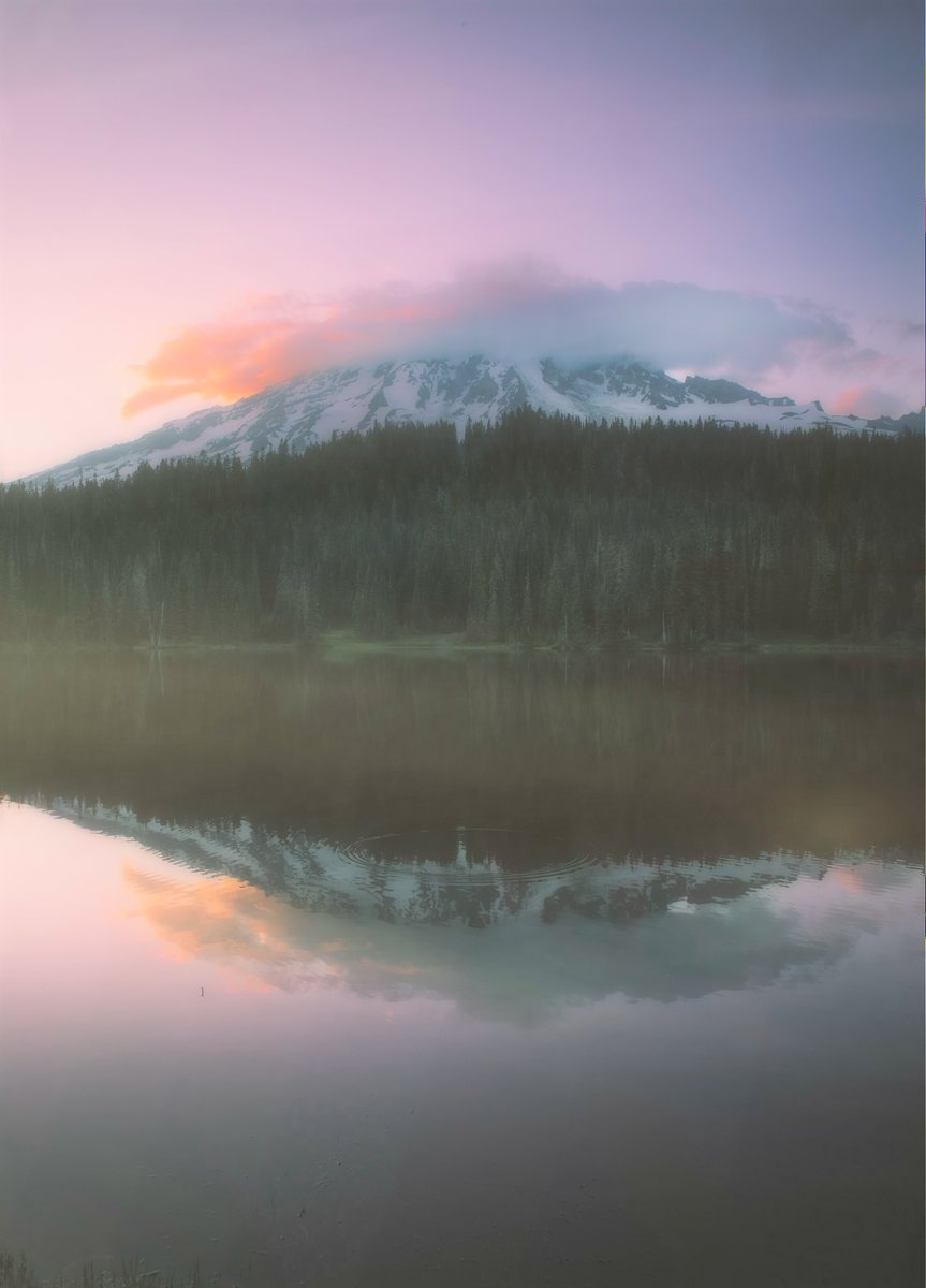 &amp; here's one last teaser for a future mint 😉