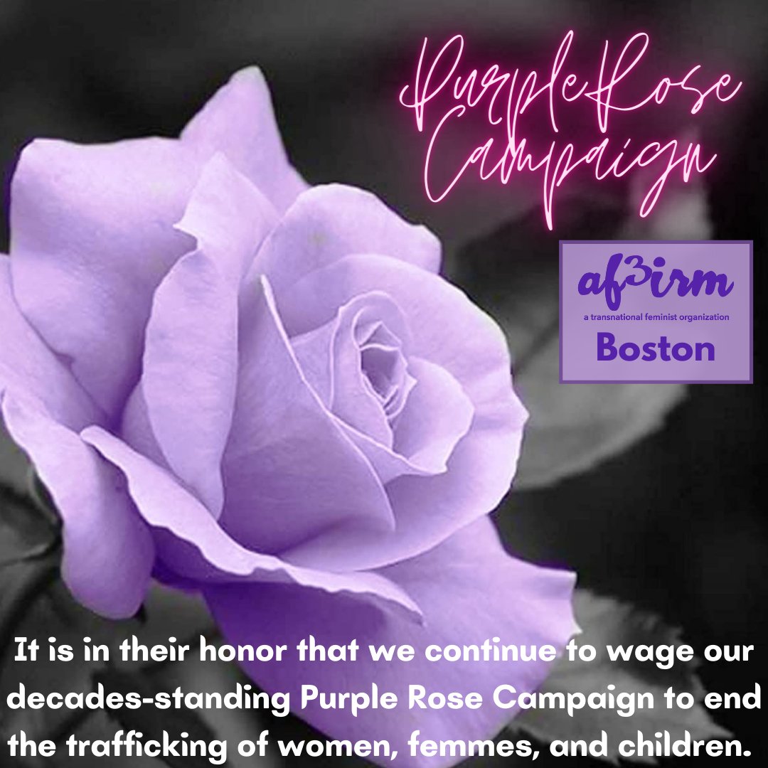 af3irmboston's tweet photo. Purple roses in various shades of defiance flood social media on February 14, the bedrock of AF3IRM’s organizing history. The Purple Rose is artificially bred for profit, not unlike the women and children who are trafficked into the commercial sex trade. #purplerosecampaign https://t.co/U4UTy93K84
