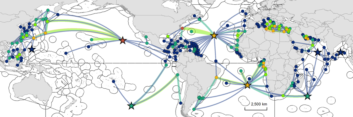 Connie Kot tweet media