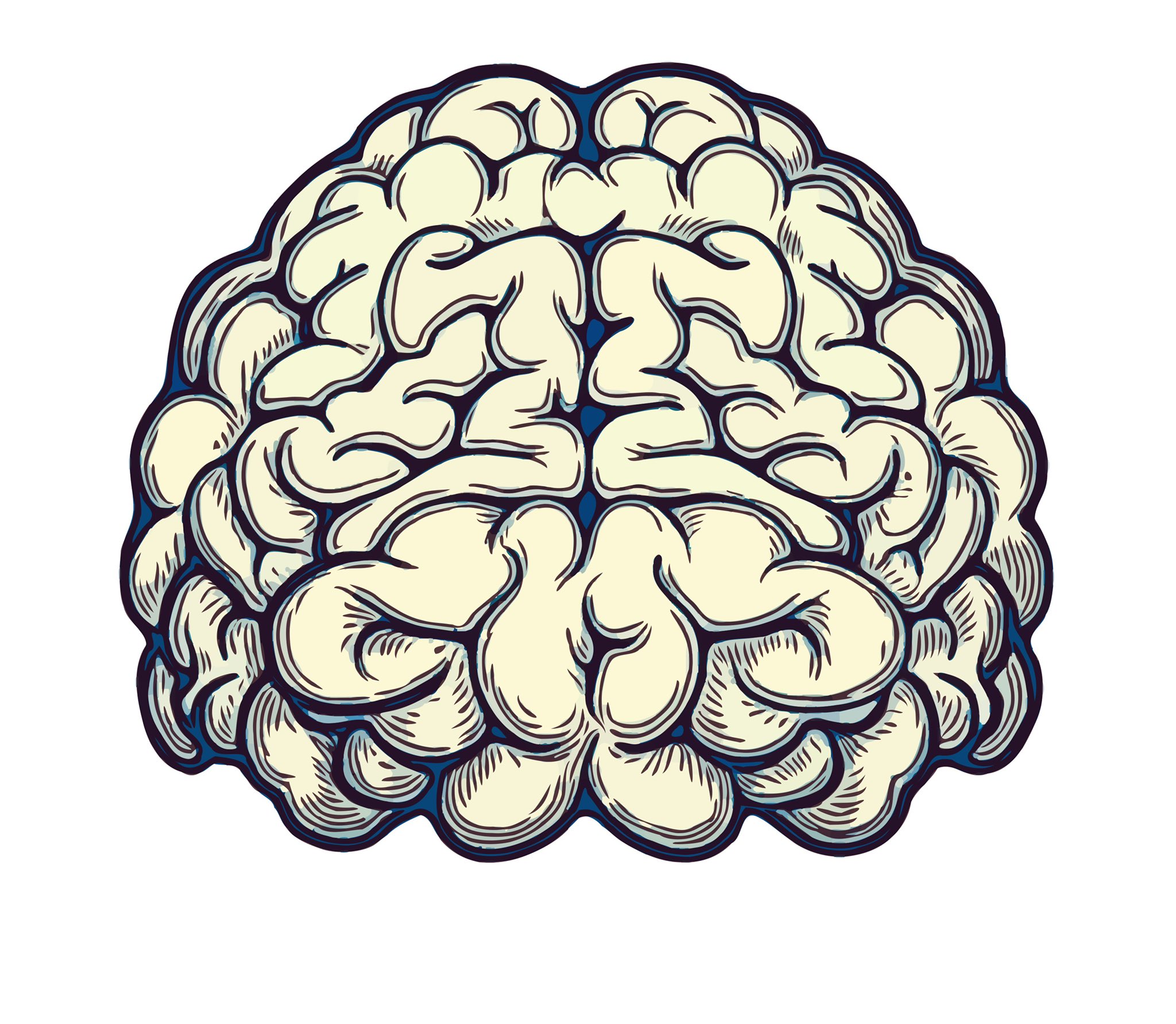 Мозг спереди вектор