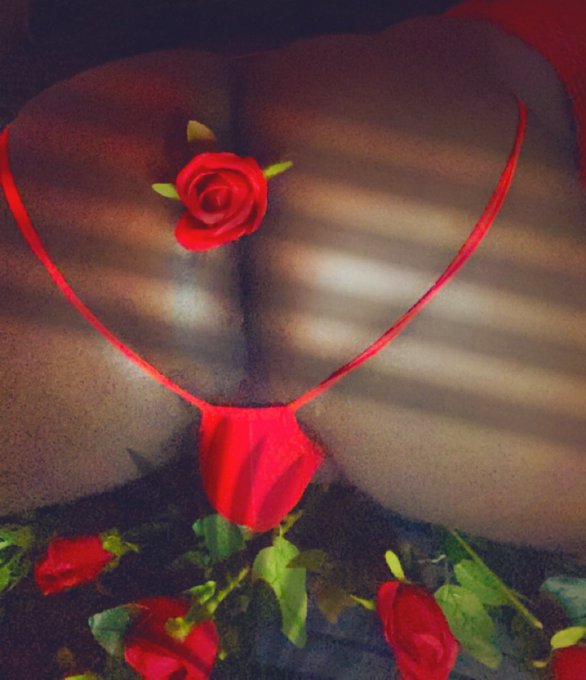 Happy Rose Bud Day !! 🌹🍫🌹🍫&hearts;️  #freakyfreaky #freakshit #freakymoodz #freakystory https://t.co/yxrBCx<a href="/tag/freakyfreaky"class="tags">#freakyfreaky</a><a href="/tag/freakshit"class="tags">#freakshit</a><a href="/tag/freakymoodz"class="tags"><span>#freakymoodz</span></a><a href="/tag/freakystory"class="tags"><span>#freakystory</span></a>