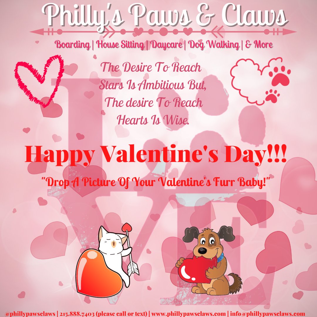 Philly Paws & Claws (@phillypawsclaws) / Posts / X