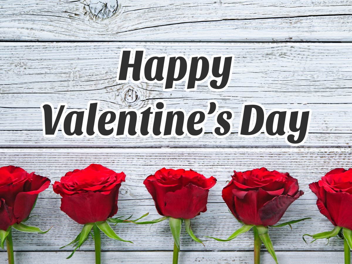 doveldog's tweet photo. Here's to a Happy #ValentinesDay! #celebrate https://t.co/pw0Sb7Aluj