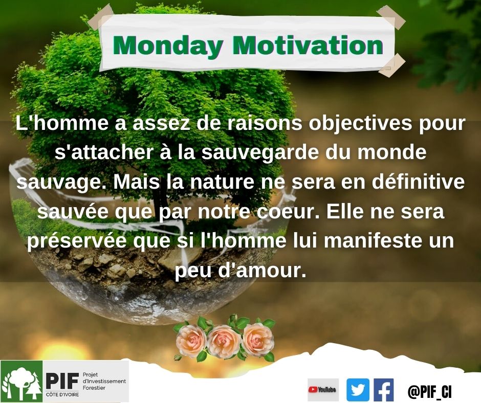 PIF_CI's tweet photo. L'amour c'est la base de toute chose 💚🤍
Excellent début de semaine à tous les amoureux de la nature.

#ValentinesDay
#MondayMotivaton https://t.co/57Zff5gw3m