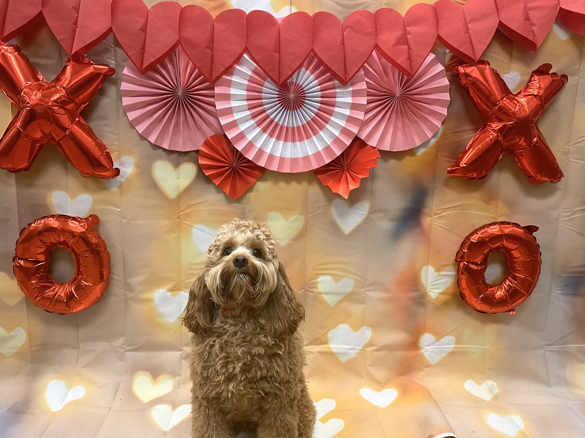cbwmatthews's tweet photo. Valentine pictures! 📸❤️ https://t.co/5Rai1NgpSg