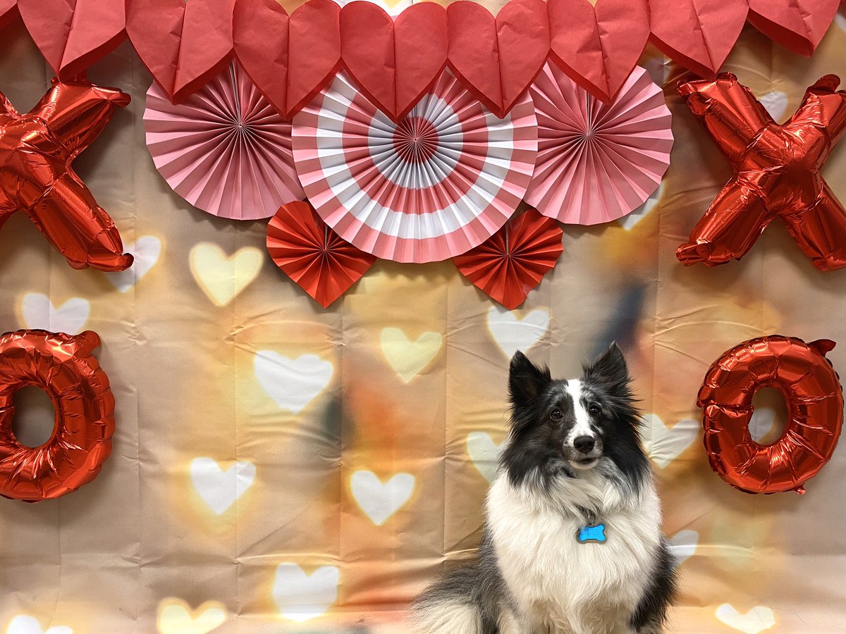 cbwmatthews's tweet photo. Valentine pictures! 📸❤️ https://t.co/5Rai1NgpSg