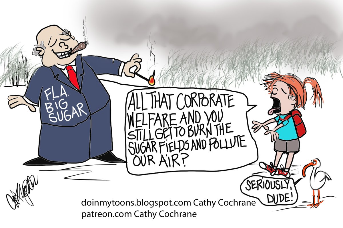 Cathy Cochrane tweet media