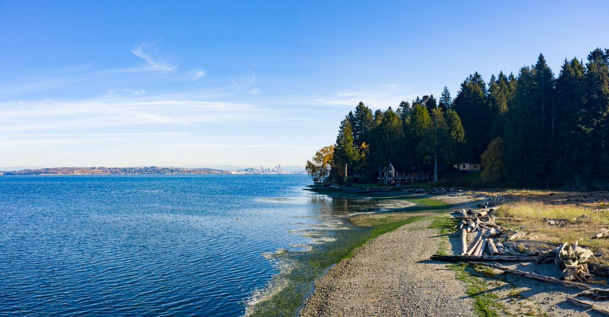 Did you know Puget Sound is one of the largest estuaries in the contiguous United States? Puget Sound encompasses many other estuaries—including big ones, such as the Duwamish River estuary, and small ones, found in sheltered bays, inlets, and lagoons. #iheartestuaries