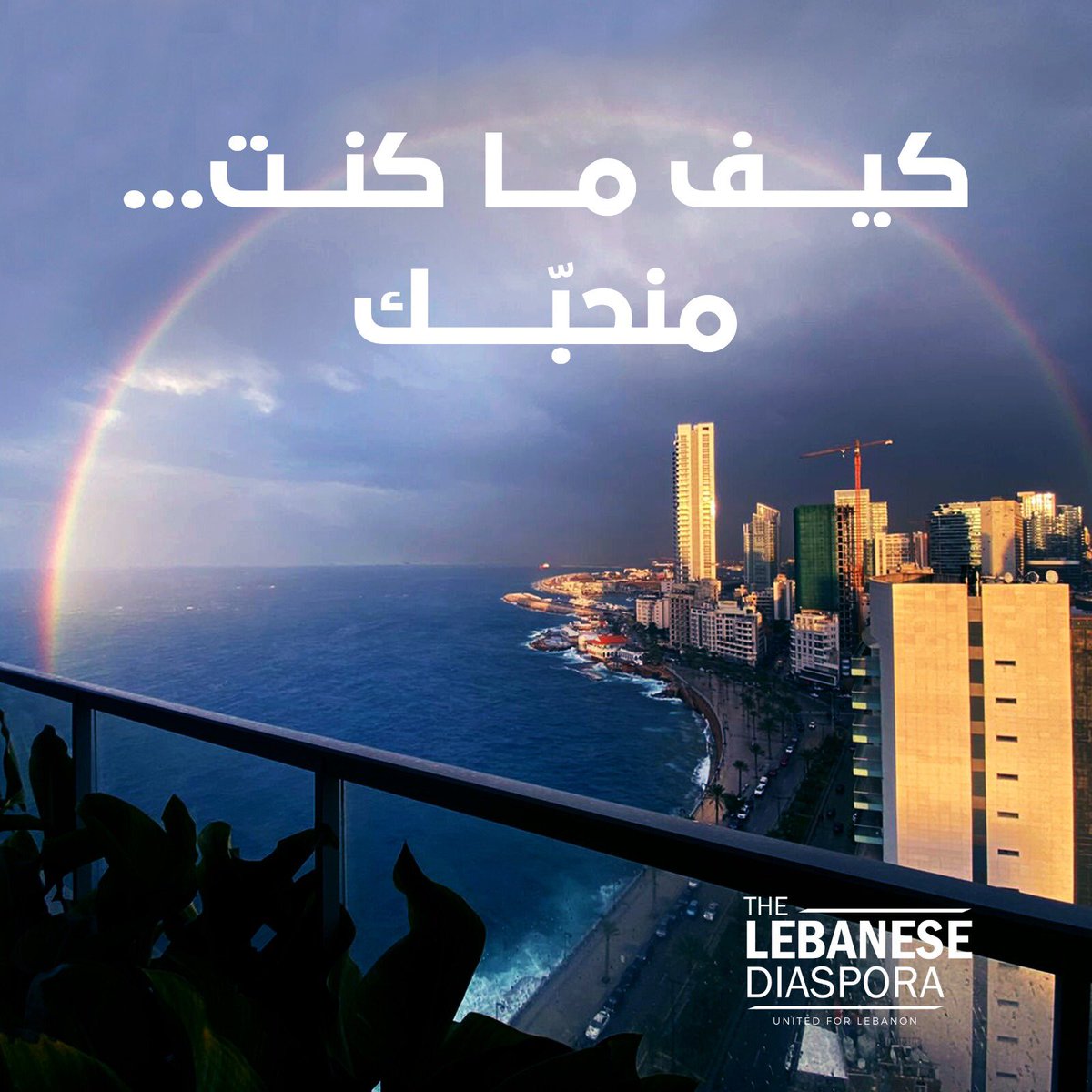 On this Valentine’s Day we send a heartfelt love message to our beloved Lebanon. منحبَّك يا لبنان The Lebanese Diaspora Network. #happyvalentinesday #tldn #thelebanesediasporanetwork #lebanon #liban #libano #beirut #beyrouth #لبنان #بيروت #عيدالحب