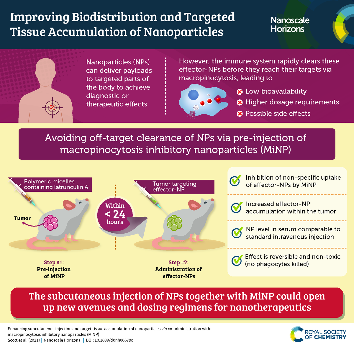 Nanoscale journal family (@nanoscale_rsc) on Twitter photo Macropinocytosis inhibitory nanoparticles reduce non-specific uptake of effector-NPs improving targetted delivery! Check out the infographic to learn more or get the full story from the #NanoscaleHorizons article by <a href="/ProfScottBME/">Evan Scott</a> et al. <a href="/NorthwesternU/">Northwestern</a> 👇
pubs.rsc.org/en/content/art… Macropinocytosis inhibitory nanoparticles reduce non-specific uptake of effector-NPs improving targetted delivery! Check out the infographic to learn more or get the full story from the #NanoscaleHorizons article by <a href="/ProfScottBME/">Evan Scott</a> et al. <a href="/NorthwesternU/">Northwestern</a> 👇
pubs.rsc.org/en/content/art…