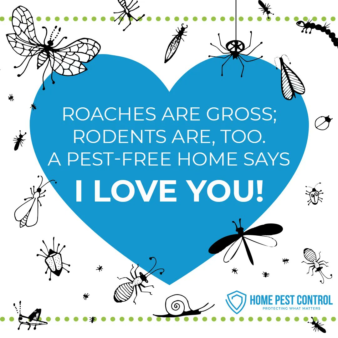 HomePestSC's tweet photo. Ditch the flowers and chocolates this Valentine’s Day, and give the gift of a bug-free home instead! Give us a call to schedule your next service! https://t.co/xOPujrkiM3 https://t.co/n50r6N7rGC