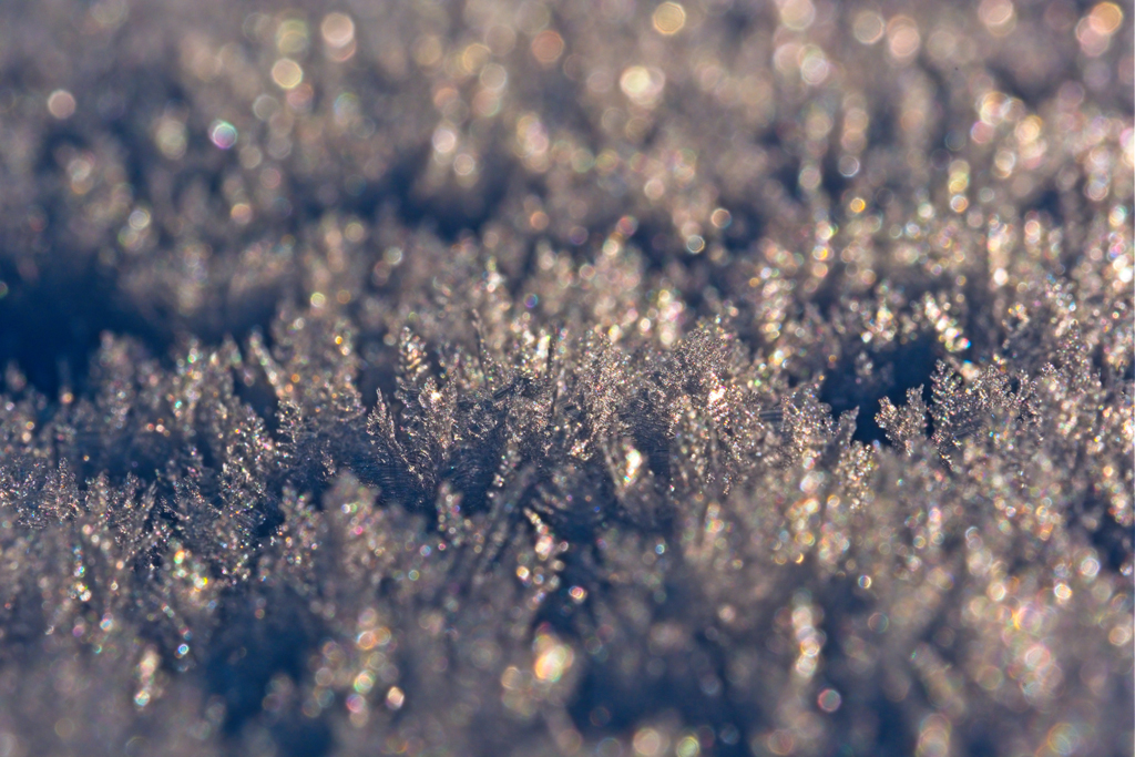OPNmagazine's tweet photo. Image of the Week: Ice Crystal Colors

Macro photograph of grown ice crystals refracting and reflecting sun light on a cold winter day, showing various colors. 

Read more here: https://t.co/Z5qHTs8dcu

#Macro #ice #crystals #refracting #reflecting #sunlight #atmospheric #halos https://t.co/wbOuamPcwj