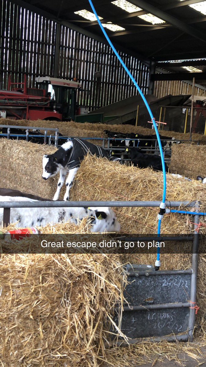 Andrew Broster (@andrew_broster) on Twitter photo 