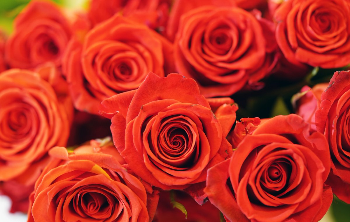 Purdue Agriculture tweet media