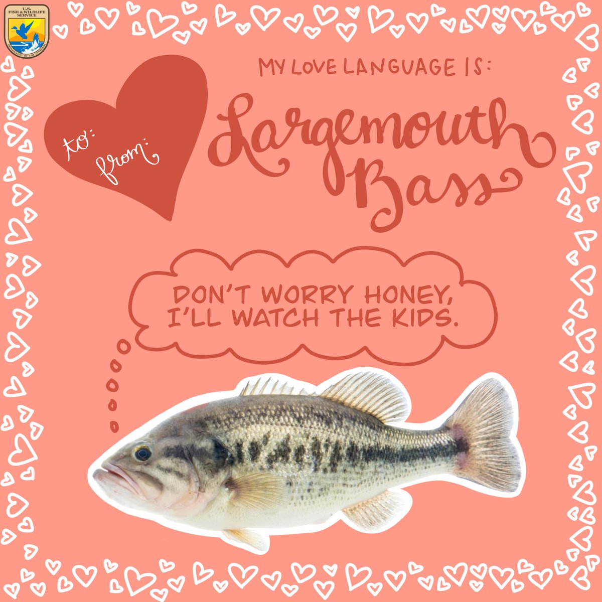 “My love language? Oh, I’m 100% American shad.”  

The amorous activities of our fishy friends are definitely diverse, so level up your next love convo with a sprinkling of fish facts. 

Find out if you are a Burbot, a brookie, or maybe a chub? ow.ly/vFxm50HTcRf
