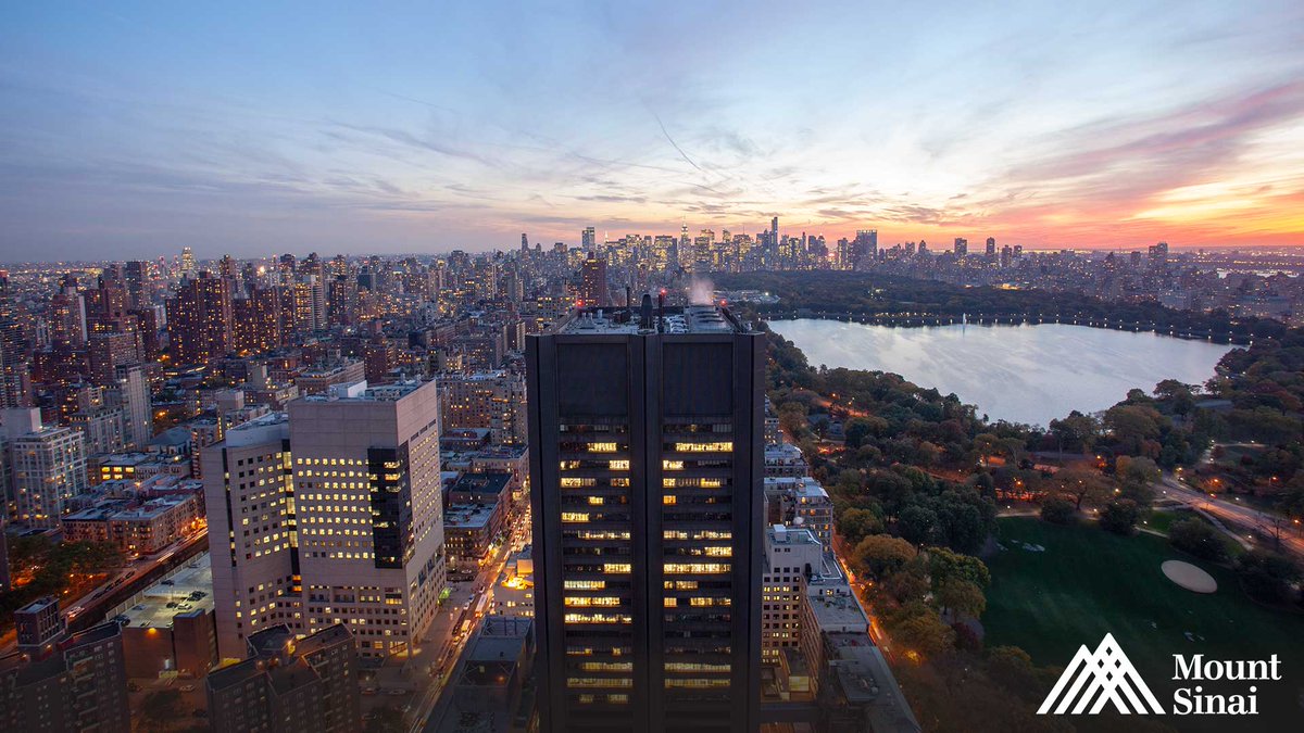 NiamhAMullins's tweet photo. I’m hiring a Postdoc to lead analyses for the International Suicide Genetics Consortium &amp; build risk predictors in EHR-linked biobanks! 

Info: https://t.co/HYymC7Yrxd

Fantastic environment &amp; colleagues @MountSinaiPsych, @SinaiClinIntel, @SinaiGenetics AND you get to work here👇 https://t.co/IbR2oyQgJU