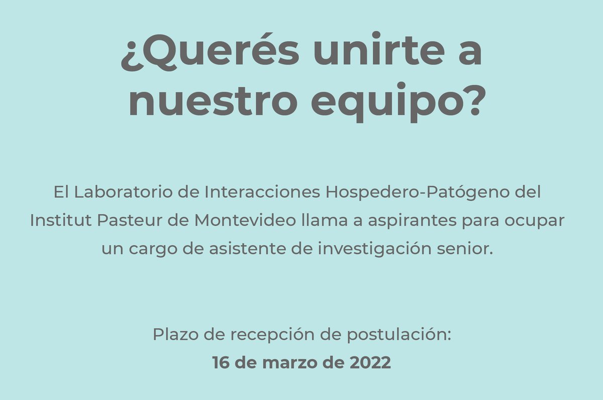IPMontevideo's tweet photo. 📢¡𝑵𝒖𝒆𝒗𝒐 𝒍𝒍𝒂𝒎𝒂𝒅𝒐 𝒂𝒃𝒊𝒆𝒓𝒕𝒐!

El Laboratorio de Interacciones Hospedero-Patógeno del @IPMontevideo llama a aspirantes para ocupar un cargo de asistente de investigación senior 🔎.

⌛️ Plazo para postularse: 16/3/22.

Más info 👉 https://t.co/lzNykrGQcV https://t.co/vIKu5ERPoj
