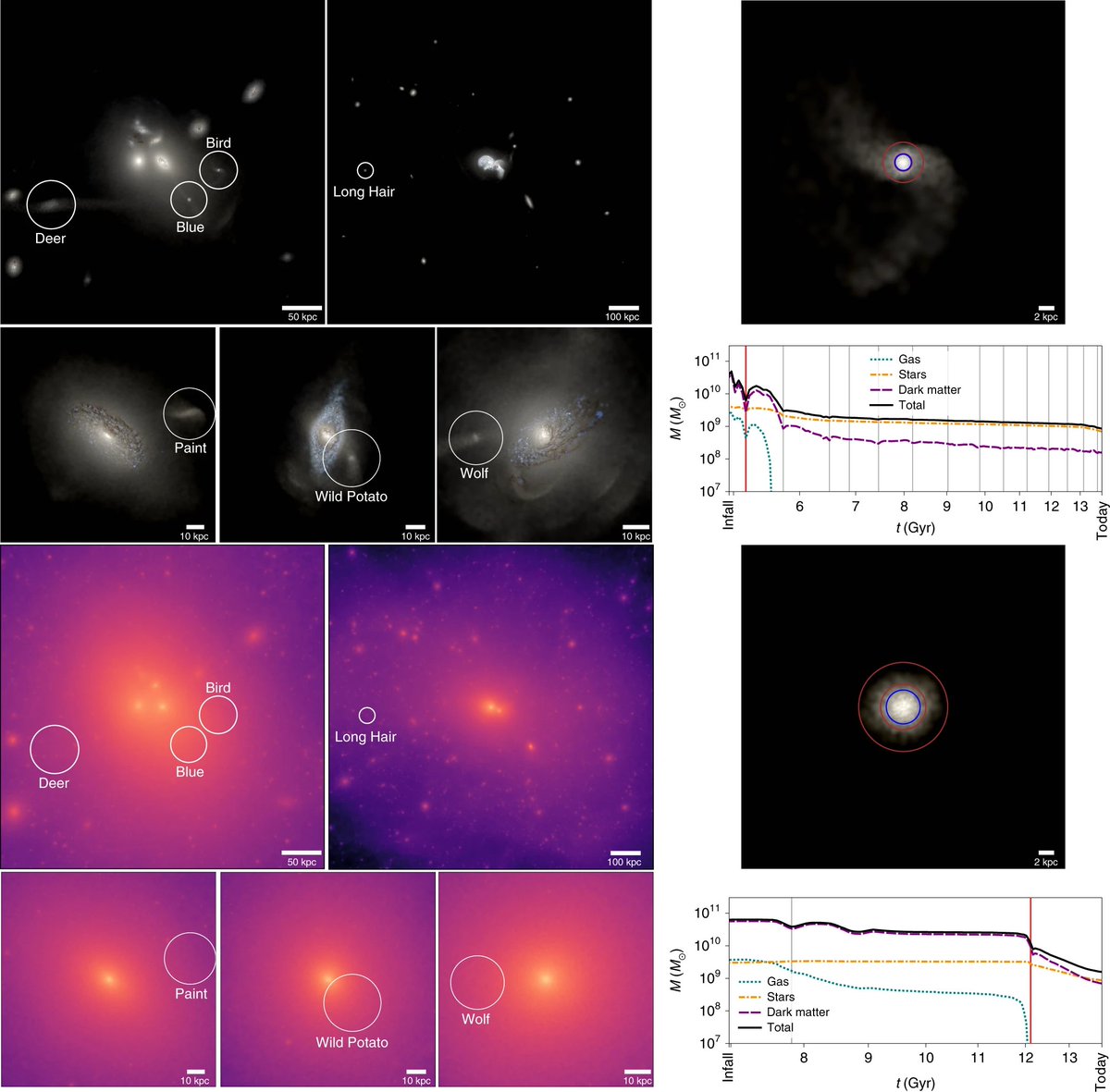 New simulations from Jorge Moreno and colleagues <a href="/pomonacollege/">Pomona College</a> reproduce observed galaxies lacking dark matter. nature.com/articles/s4155…
