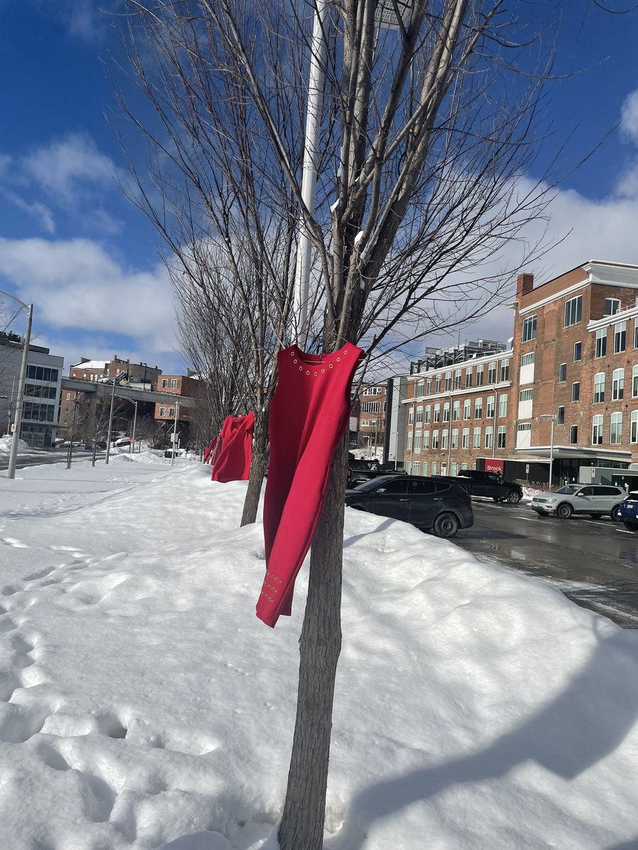 The #MIWSFPA at #BrockU &amp; <a href="/FirstOntPAC/">FirstOntario PAC</a> are participating in REDress week to raise awareness for the missing and murdered Indigenous women, girls, and 2SLGTBQQIA people by displaying red dresses in and around our buildings.