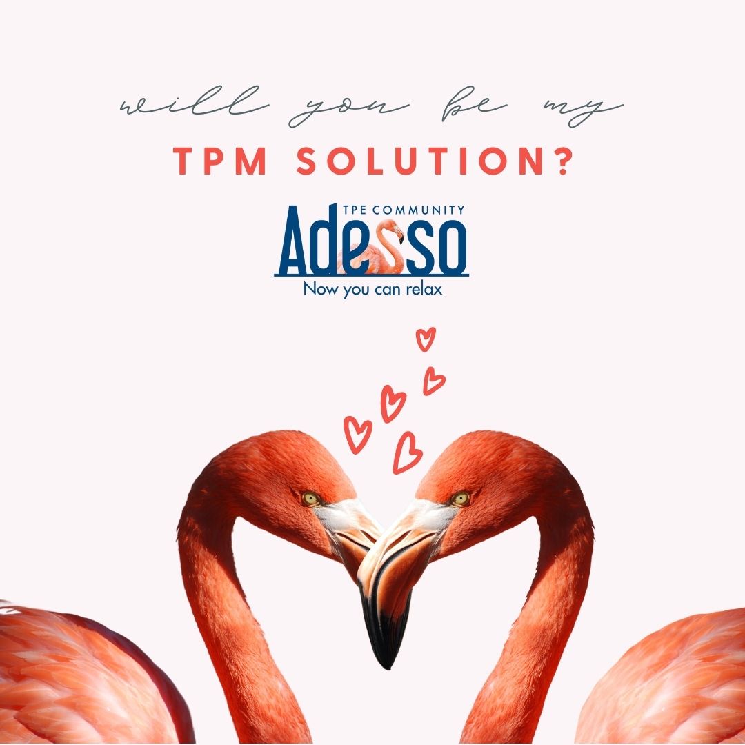 TPEffectiveness's tweet image. Happy Valentine's Day from the Adesso Team! 

#trademarketing #tpm #happyvalentinesday #cpgindustry #softwaresolution