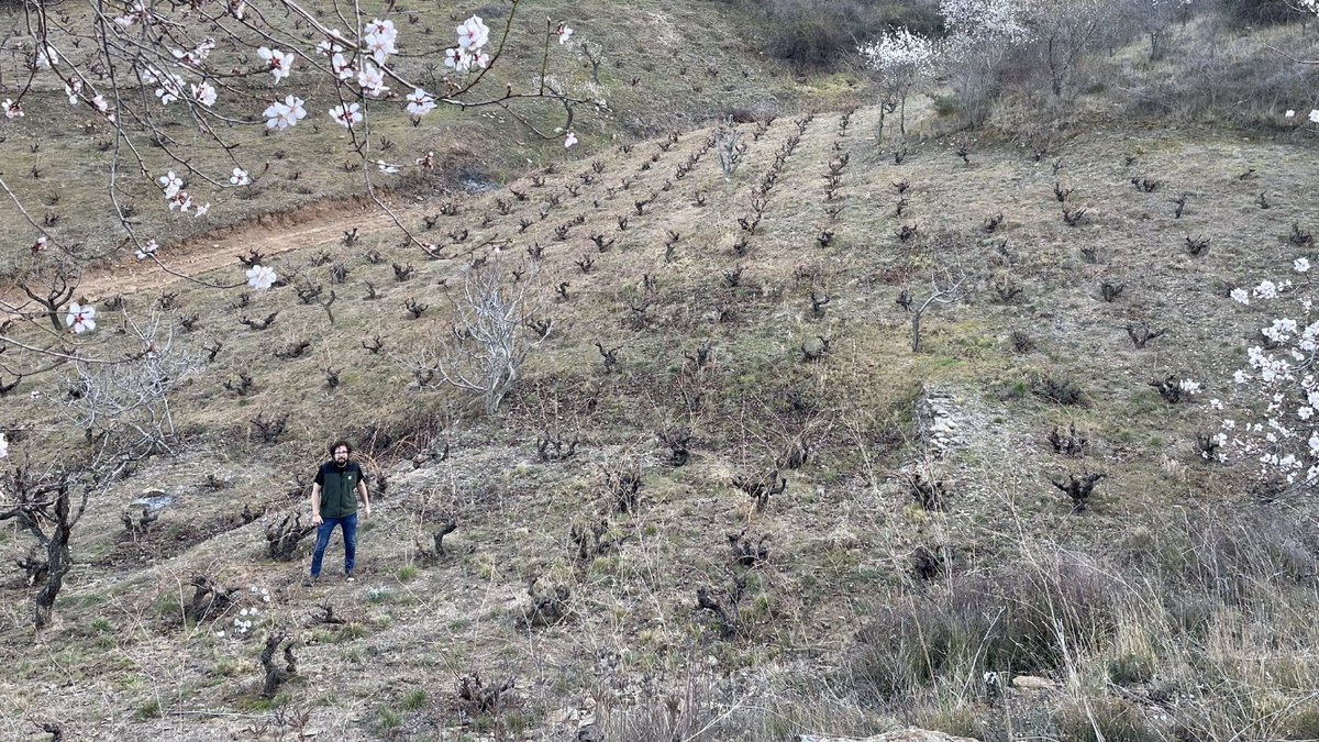 a_la_vole's tweet photo. Alpartir desde hoy se ha convertido para nosotros en algo absolutamente singular. Los vinos enormes.
Gracias amigos de @BFrontonio por la fantástica visita, desde hoy tenéis 4 fans más
#alavole #vino #frontonio #alpartir #aragón #winelovers https://t.co/fBQa8SsThr