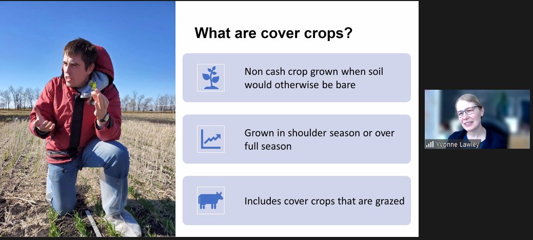 Great morning presenting "Cover Crops in Southern Manitoba" with <a href="/YvonneLawley_UM/">Yvonne Lawley</a> <a href="/DalePennerMB/">Dale Penner</a> and Virginia Janzen as part of Living Lab Club Workshops. #covercrops #MBag