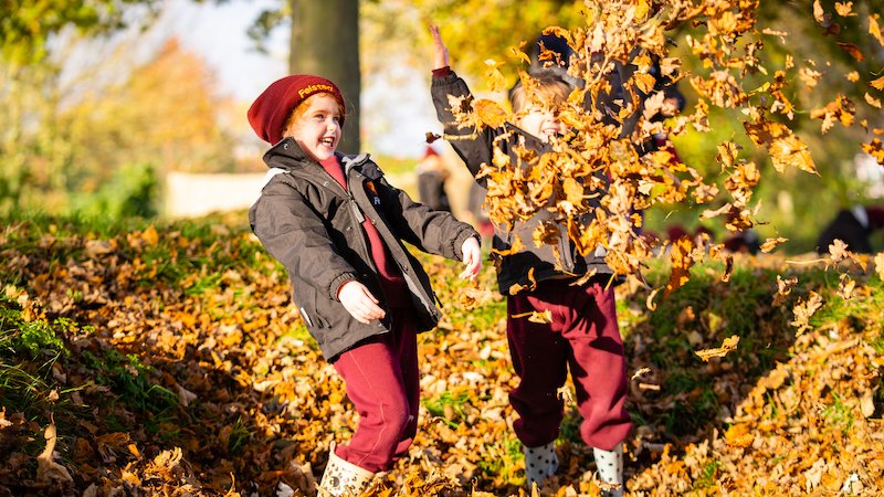 New Post: <a href="/FelstedSchool/">Felsted School</a> has now protected 123,281 Trees, just one year into their partnership with the climate action charity One Tribe: ibyb.org/news/felsted-s…