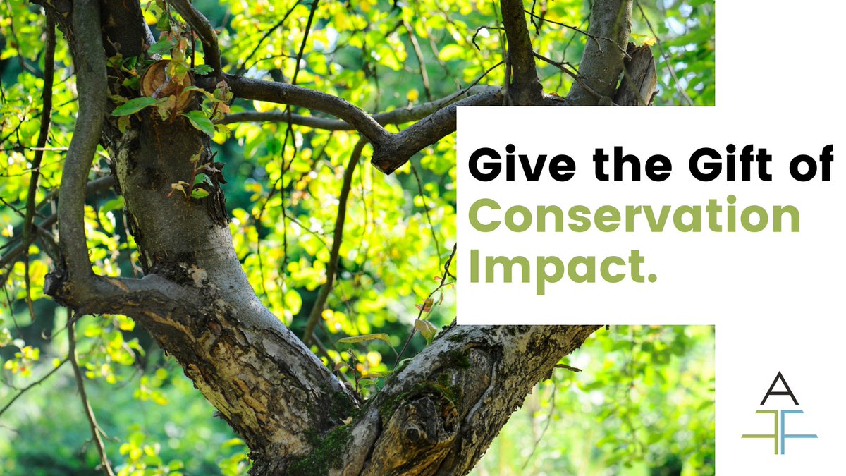 AmForestFndn's tweet photo. Show your love this Valentine’s Day by giving the gift of conservation impact. 💚 https://t.co/ixucknoTZ6) https://t.co/C7eKj17kmh