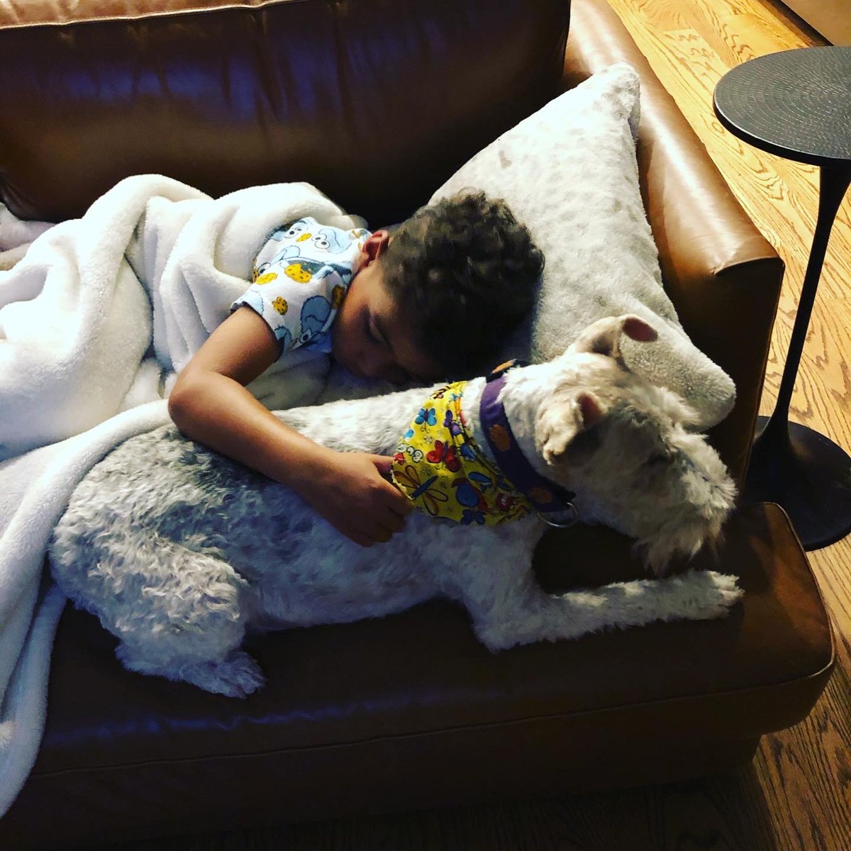 JannaMagette's tweet photo. Yes, itβs Valentineβs Day and also our Pearlβs 9th birthday and the day we brought Lincoln Hardy home! So Iβd say love is winning today. #beingbutler #gofollowlead πΆπΌπΆπ½πΆπ https://t.co/YfVLTfq6AY