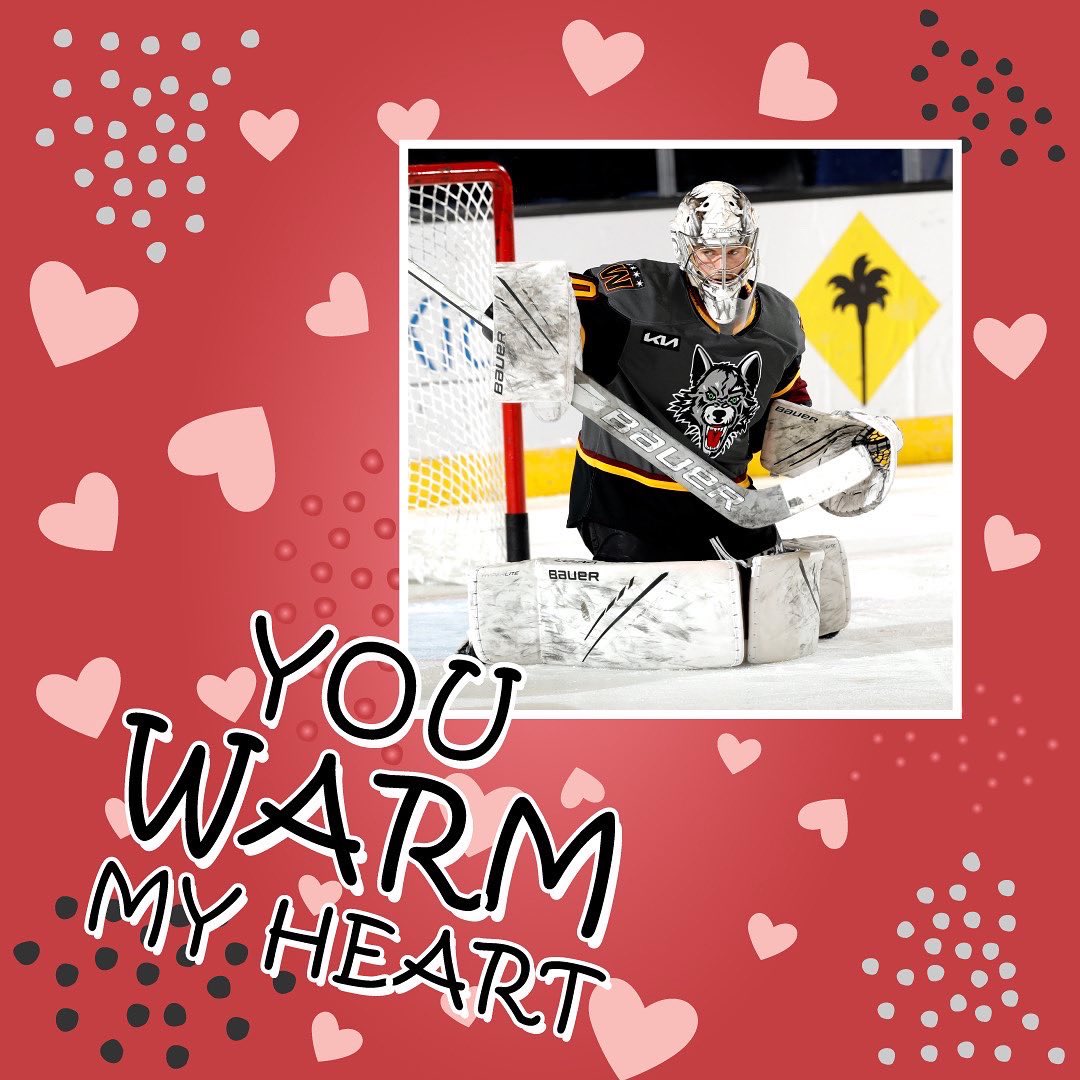 Chicago Wolves tweet media