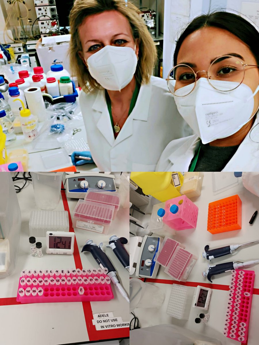 Aminoacids Analyses.....Busy day today with LC-MS....Let's see our data! <a href="/UoR_LifeScience/">UR Life and Health Sciences</a> <a href="/NutritionRoe/">Nutrition@Roehampton</a>