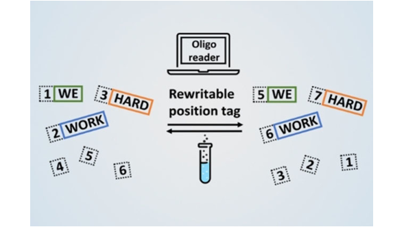 angew_chem's tweet photo. Rewritable Macromolecular Data Storage with Automated Read-out (Prez) @ugent https://t.co/S9A4peXfqN https://t.co/jpikHDme9h
