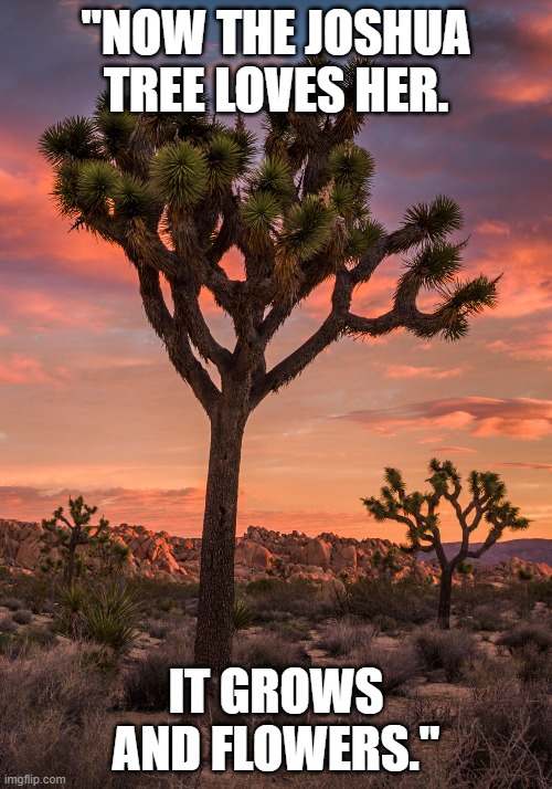 CSWritersatWork's tweet image. Happy Valentine&apos; Day from #CSWritersAtWork and &quot;The Bad Graft,&quot; part of Karen Russell&apos;s _Orange World_ ❤️