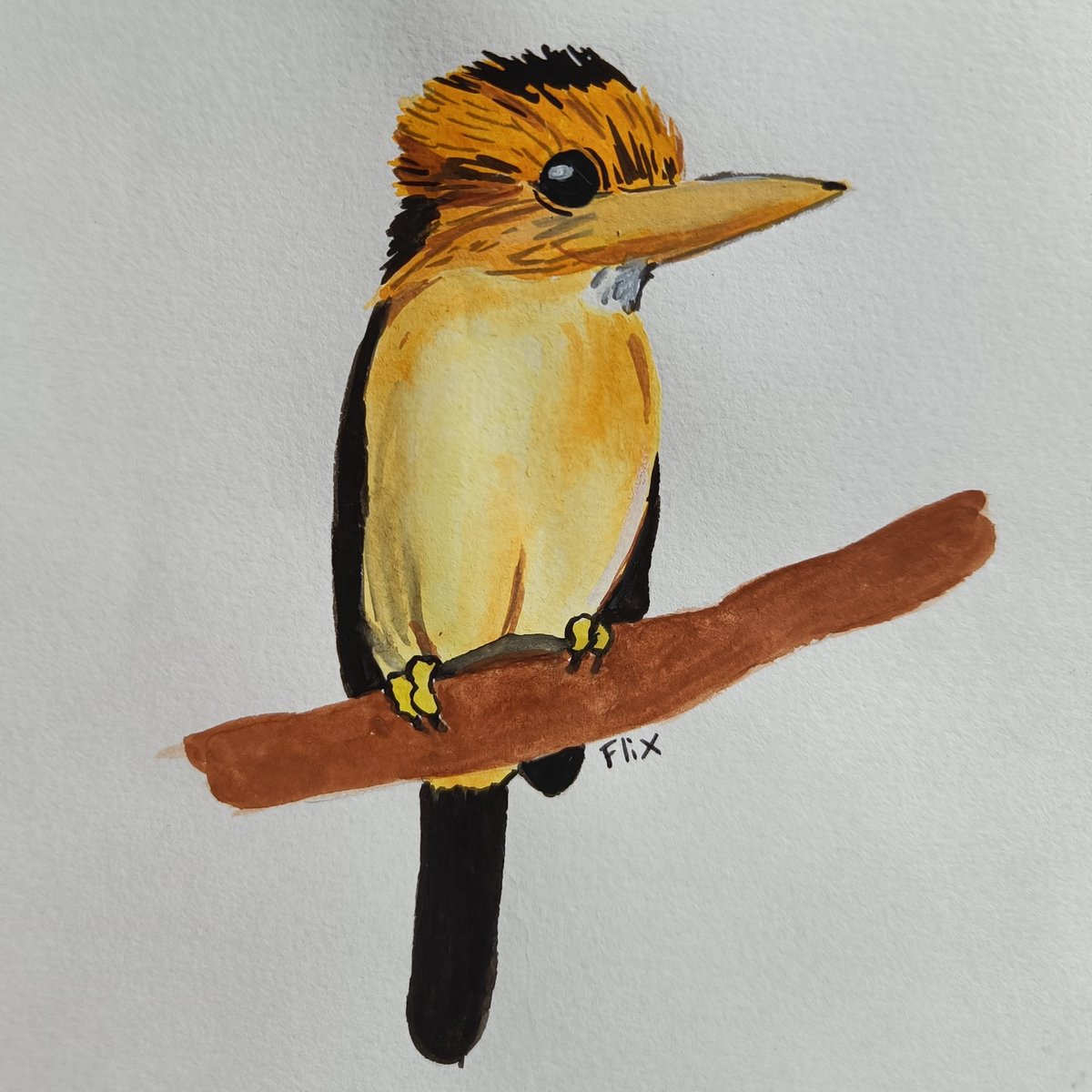 Birbfest 19: Jellies Billed Kingfisher

instagram.com/p/CZ73rOlNLuH/…
#nature #bird #watercolor #kingfisher